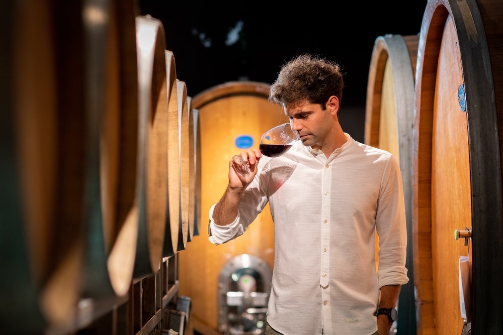 image vigneron